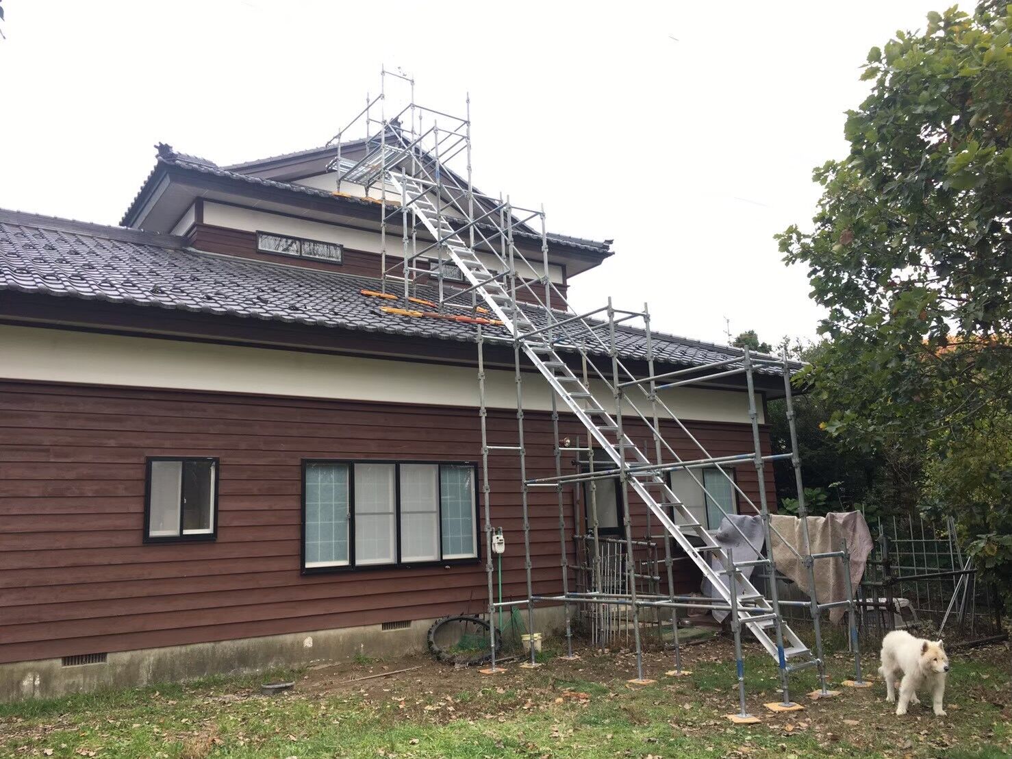 LINE_ALBUM_220530