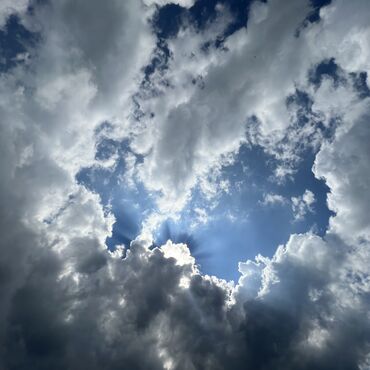 3AE80C18-59C4-43D9-BAE6-EDE7FF22C809