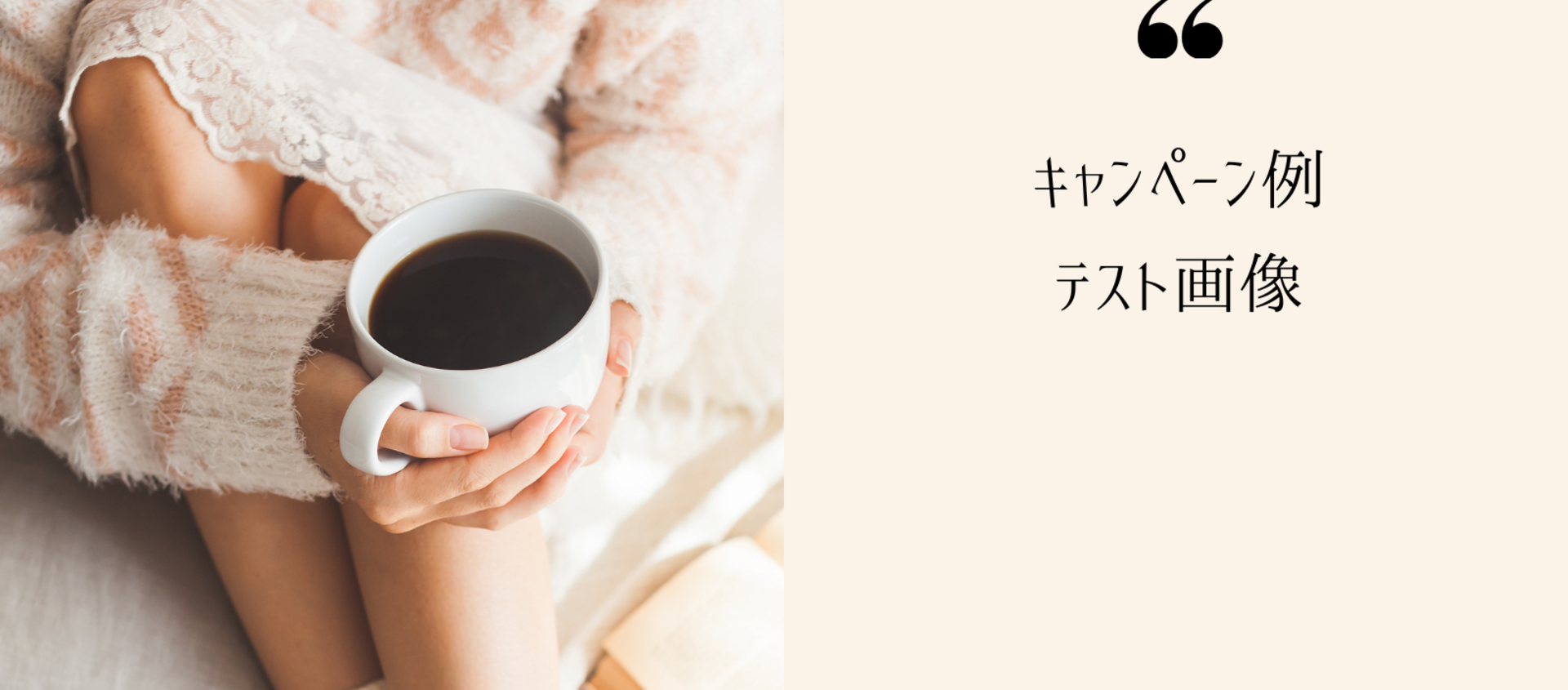 キャンペーン例 テスト画像